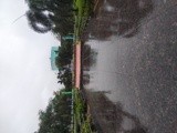 by Sree Ranjitha