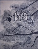 by Sher Richardson