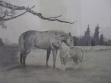 by Kim Lawrie