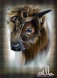 by Ariella Belau