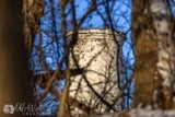 by Marton K