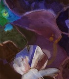 by nancy lissaman