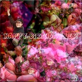 by Nira Dabush