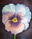 by Tanya Antimirova