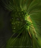 by anita zofia siuda