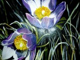 by Eileen Kasprick