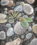 by Pet artist M 