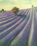 by Ginger Olansen