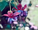 by Ginger Olansen
