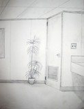 by whitney goin