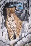 by Marilyn Comparetto
