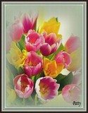 by Patty Day