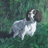 by Belinda Matthews