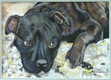 by Belinda Matthews