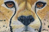 by Vicky Kenworthy
