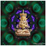 by Orchid Mandala