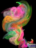 by Cathy Imler