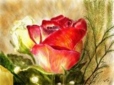 by susan  kinney