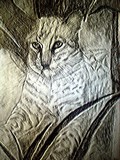 by donald penwell