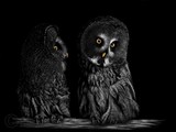 by Heather Ward