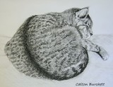 by Regina Calton Burchett