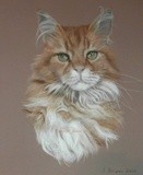by Joanne Simpson-Connor