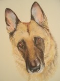 by Joanne Simpson-Connor