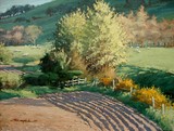 by Mike Langdale