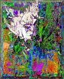 by Barry Huyett