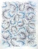 by Grady Haugerud