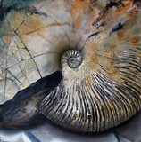 by Jo Sheppard