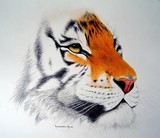 by Les Remmington-Allum