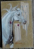 by Delia Pacheco