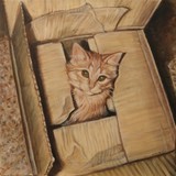 by Sheryl Boivin