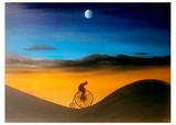 by Jose  Pedro