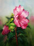 by Christiane Fortin
