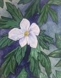 by michelle legere