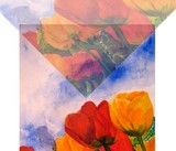 by Shakeh Sarookhanian
