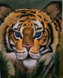 by Danielle Valente