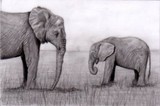 by Andrew Gott