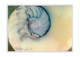 by Kathy Morton-Stanion