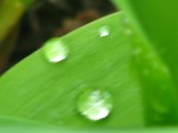 by Heli Aarniranta