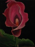 by taylor schenck