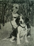 by Jenna Frazier