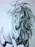 by els boedts