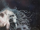 by Bryan Camilleri
