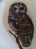 by ruth DePalo
