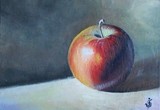 by Jose Velasquez