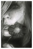 by Carissa Stevens