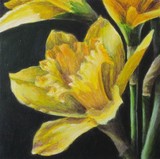 by Debbie Shirley